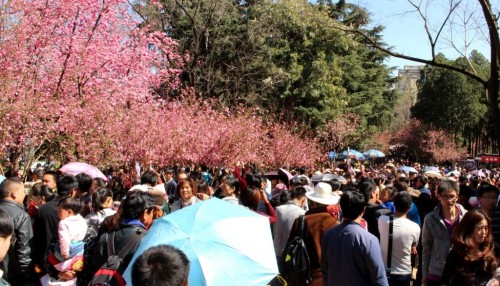 Crowded Zoo