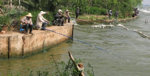 Carp catchers