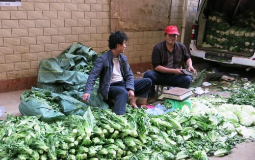 Green Stuff from a Van
