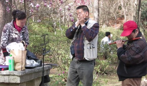 Harmonica Man