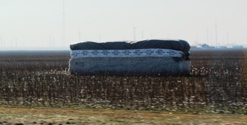 Texas Cotton Bales