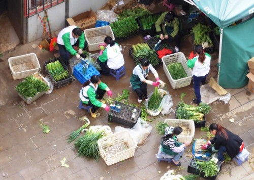 Veggie preparers