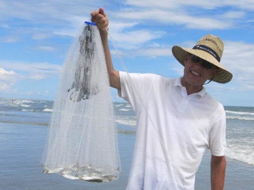 Fish in the net