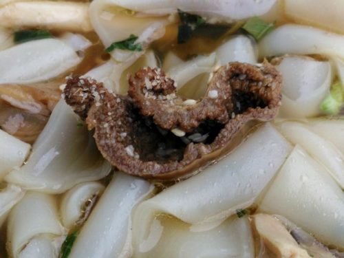 chicken-stomach